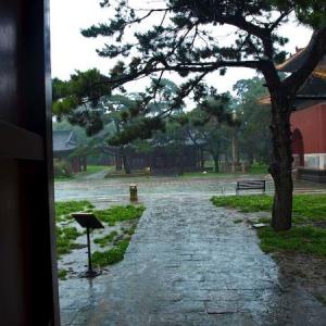 Zhaoling-Mausoleum im Regen
