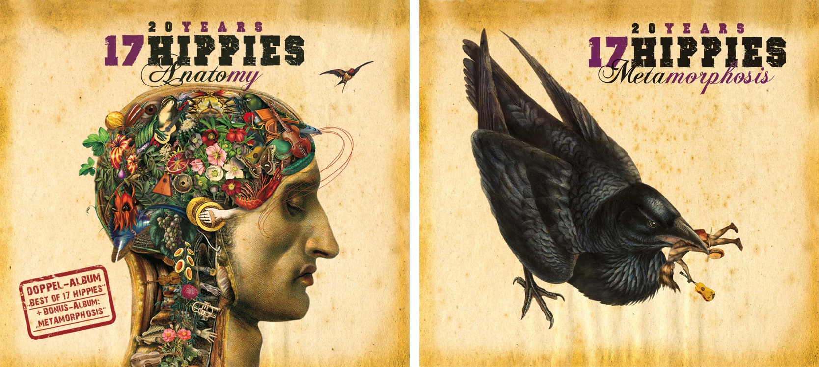 Cover: Anatomy & Metamorphosis